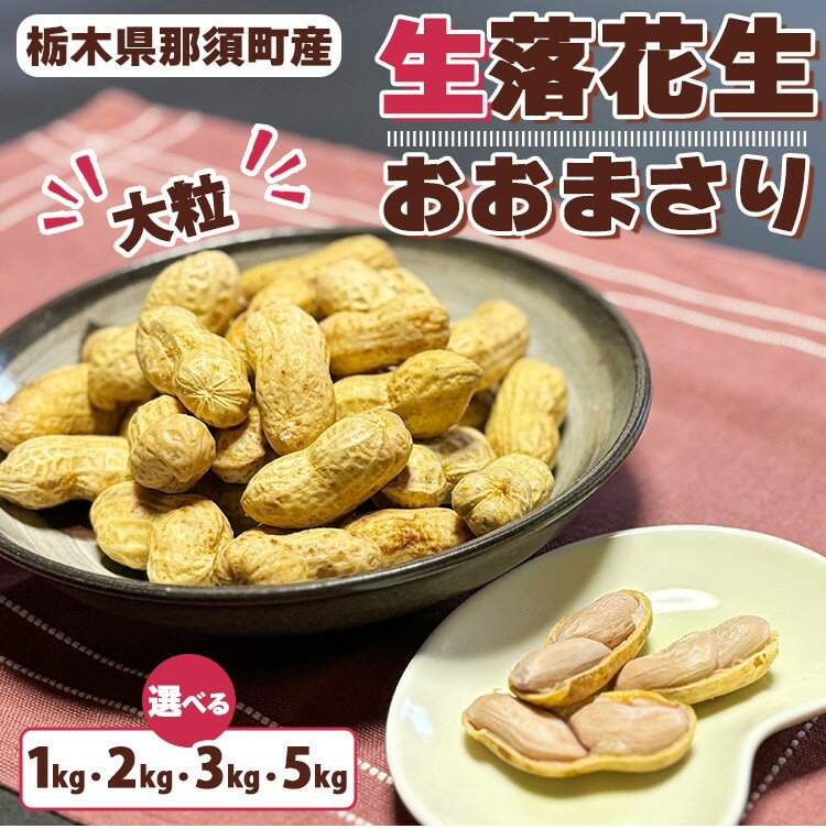 【ふるさと納税】【選べる容量】大粒生落花生「おおまさり」 ｜ 落花生 大粒 ピーナッツ おつまみ 国産 おやつ 冷蔵 那須 栃木県 那須町 ※2025年9月上旬～10月下旬頃に順次発送予定