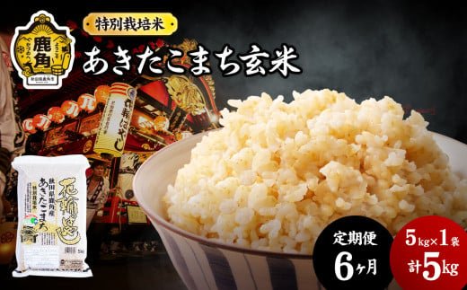 《先行予約》【定期便】令和6年産 特別栽培米「花輪ばやし（あきたこまち）」玄米 5kg × 6ヶ月 毎月配送【安保金太郎商店】