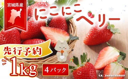 【先行受付】宮城県産いちご「にこにこベリー」約1kg（250ｇ×4）| ふるさと納税 宮城県 丸森 いちご 苺 イチゴ ストロベリー フルーツ 果物 くだもの オリジナル品種 デザート スイーツ 甘味 酸味 断面 赤い お菓子作り 製菓材料 生食 家庭用 お取り寄せ ワンストップ マイページ ベリー農園かんの 丸森町【58001BA0101】