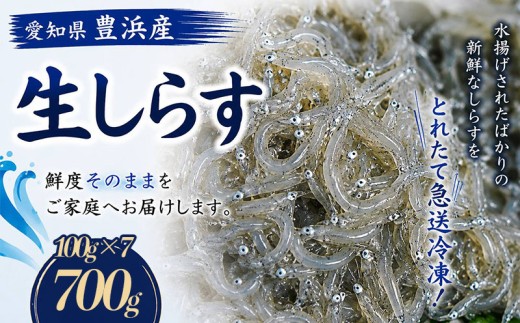 訳あり 生しらす 700g 小分け 簡易包装 愛知県 南知多町