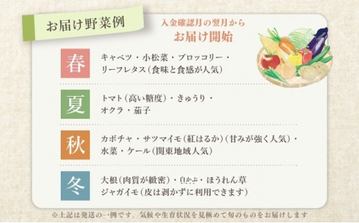 野菜 定期便 詰め合わせ セット よしむら農園 オーガニック おまかせ野菜セット 12回 おまかせ 旬 旬の野菜 ビタミン 栄養 健康 栄養バランス 一人暮らし 野菜炒め 無添加 旬 有機栽培 JAS