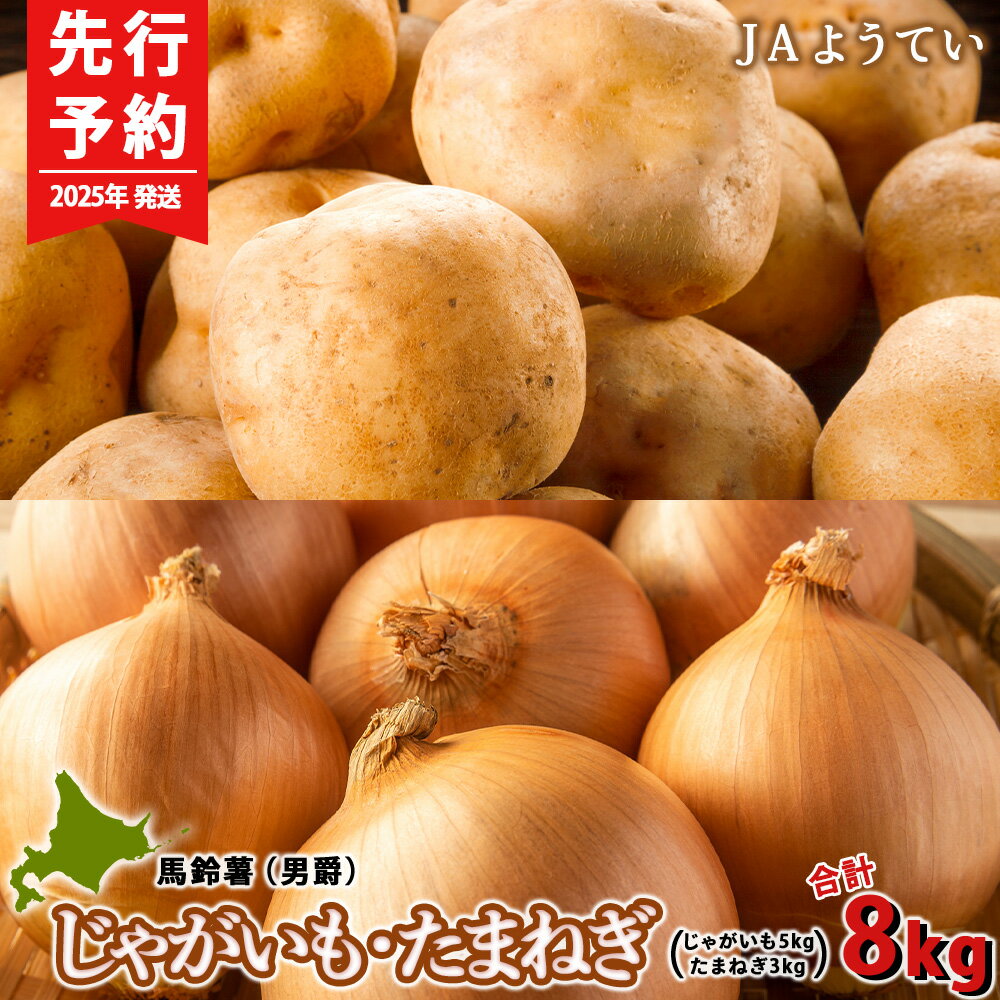 【ふるさと納税】【2025年発送 先行予約】じゃがいも5kg＆玉ねぎ3kg 食べ比べセット 合計8kg＜JAようてい＞じゃがいも 芋 秋じゃが 野菜 ポテト 北海道 国産北海道ふるさと納税 ふるさと納税 北海道 黒松内町 通販 ギフト 贈答品 贈り物