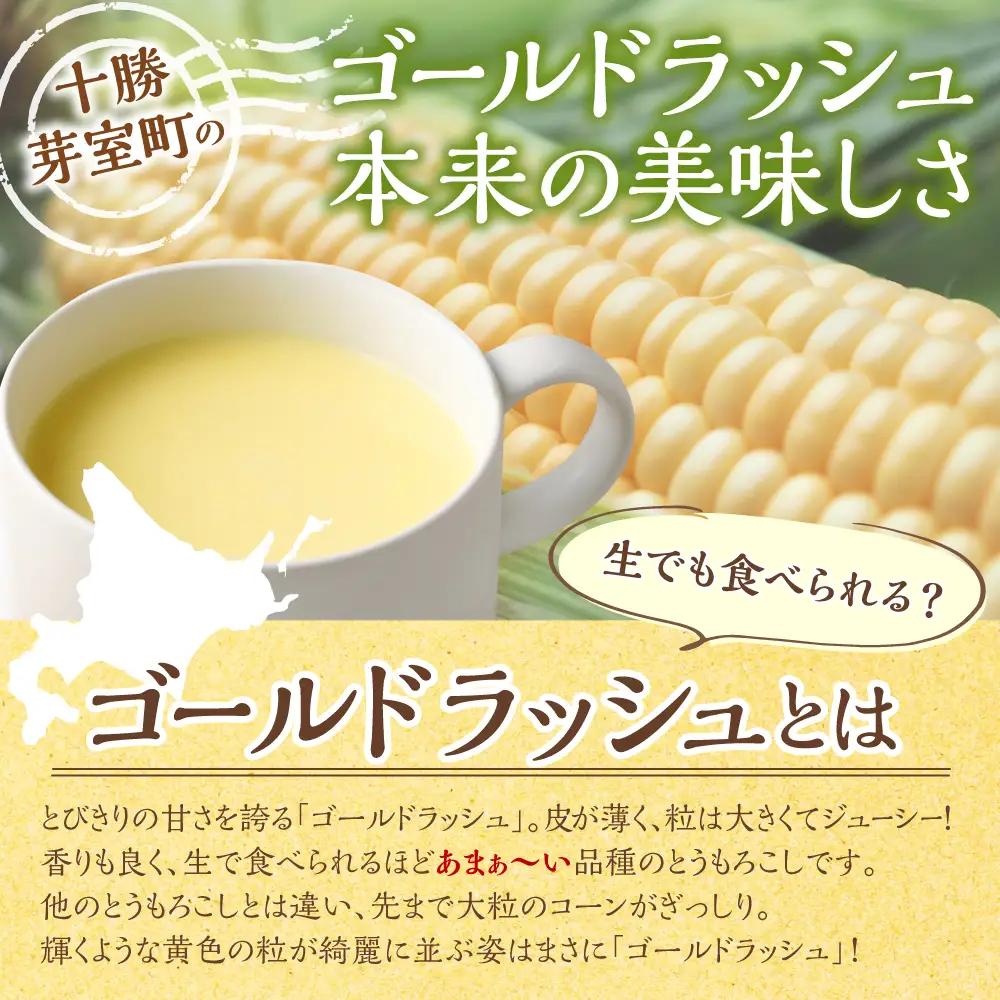 スープ 180g 10個 とうもろこし 明治 十勝 コーン スープ