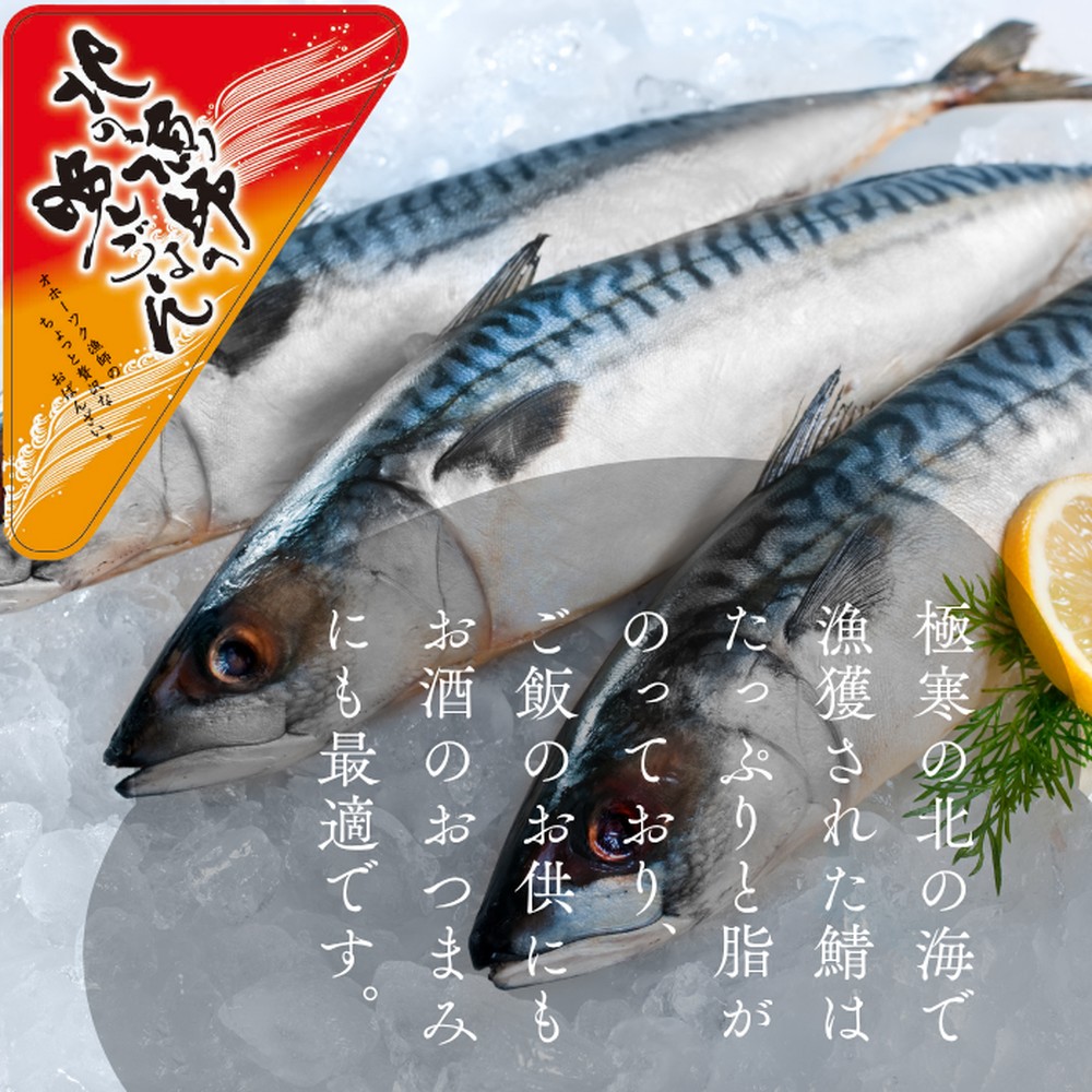 12-237 【お手軽調理】さばの味噌煮【紋別漁師食堂】