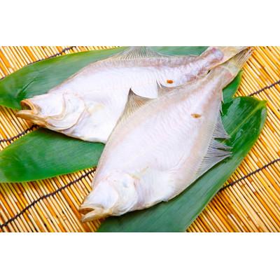 ふるさと納税 京丹後市 【店主一押し!絶品干物!高リピート!】エテカレイ一夜干し干物セット 中サイズ(朝食サイズ)20枚 |  | 02