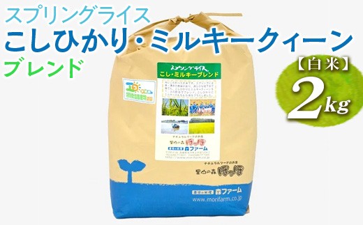 
            【令和7年産新米／先行受付】スプリングライス こしひかり・ミルキークィーン ブレンド (白米)2kg｜こめ 米 コメ 白米 白飯 精米 ブレンド米 ｺｼﾋｶﾘ みるきーくいーん ﾐﾙｷｰｸｲｰﾝ 新米 国産 茨城県 古河市 こだわり おいしい 令和7年産_FN12 ※2025年8月中旬頃より順次発送予定
          