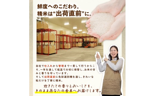 コシヒカリ 新潟 定期便 令和8年産 5kg 8ヶ月 新潟県産 コシヒカリ 5㎏×8か月 新潟県 新潟産 定期便 新潟米 新発田産 新発田 お米 米 そうえん米コシヒカリ 5kg 40kg 8か月 定