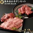 【ふるさと納税】数量限定！ 熊本あか牛 タンセット 合計約1.2kg 焼き肉用約800g 煮込み用約400g 牛タン タン タン下 タンゲタ タン先 根元 あか牛 あかうし 焼き肉 焼肉 牛 牛肉 国産 九州産 熊本県産 冷凍 送料無料