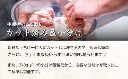 ＜2026年3月発送＞宮崎県産鶏もも肉340g×5パック 合計1.7kg　KU489-17-2603 