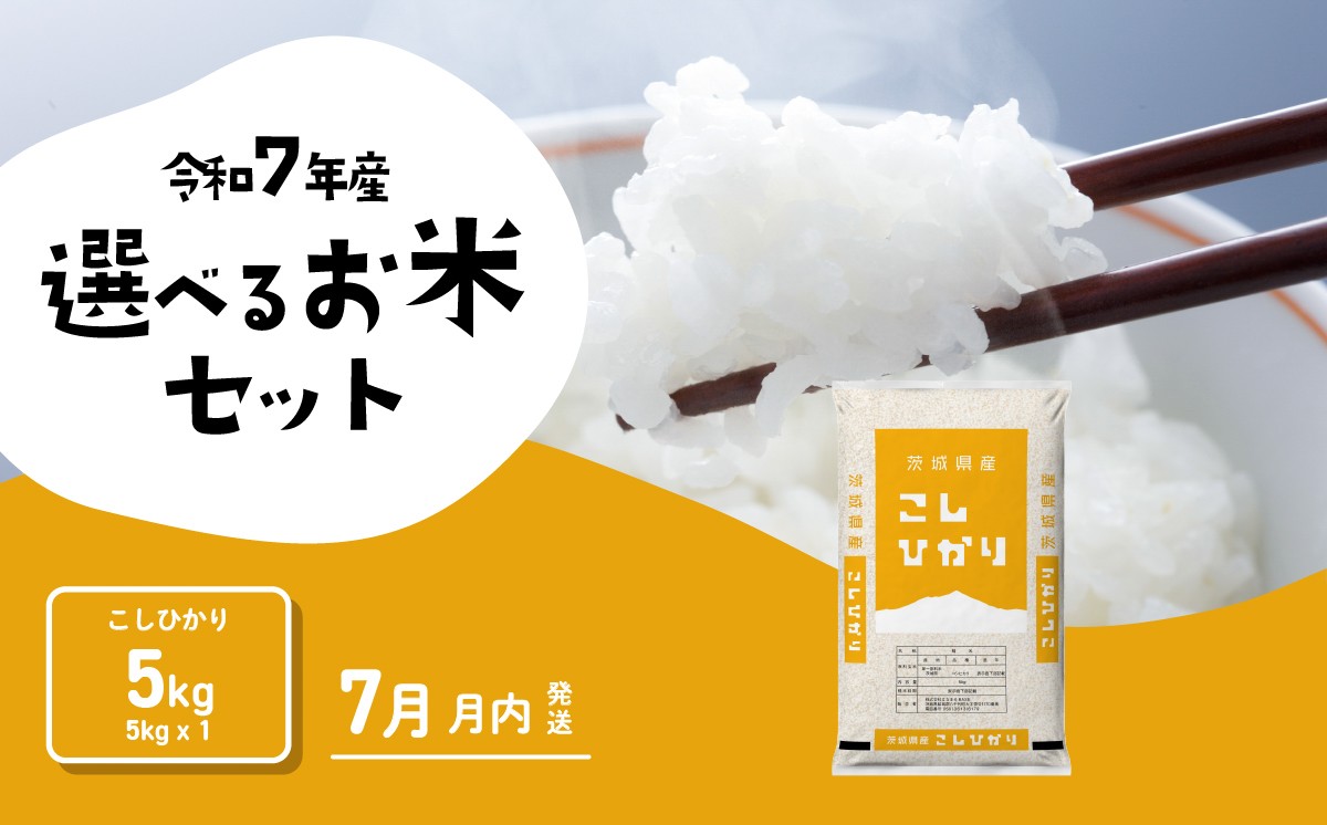 
                  【07月上旬発送】米 コシヒカリ 5kg 令和7年産 茨城県産 こしひかり 白米 精米 茨城県 お米 米 [RA188yai]
                
