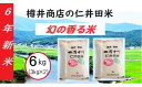 【ふるさと納税】【新米令和6年産】樽井商店の仁井田米「幻の香る米」6kg　／Bti-A03 　