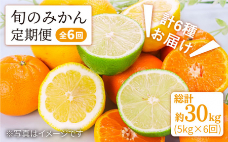 【11月から毎月届く♪6回定期便】【数量限定】旬のみかん定期便＜中尾果樹園＞ [CEL005]