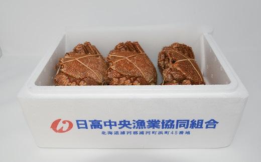 【先行受付開始！】漁協の浜ゆで毛がに 大サイズ３尾※日付指定対応不可※[02-1416]