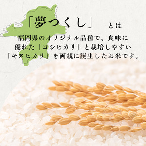 定期便 3回 特別栽培米 福岡県 小郡産 夢つくし 5kg 米 お米 3ヶ月