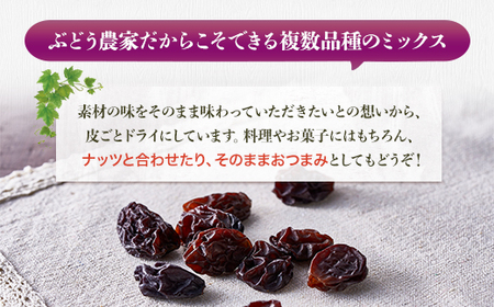ほしぶどう 40g×5袋 国産 ドライフルーツ 無添加 複数品種 希少 レア 小分け干し葡萄 ほしぶどう 無添加 防災食品 保存食 備蓄食 常備食 食物繊維 鉄分 ポリフェノール レーズン 製菓 製パ