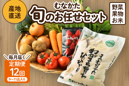 【定期便／年12回／毎月お届け】むなかた旬のお任せセット 野菜 フルーツ お米 9～11品 _HB0029 | お野菜 果物