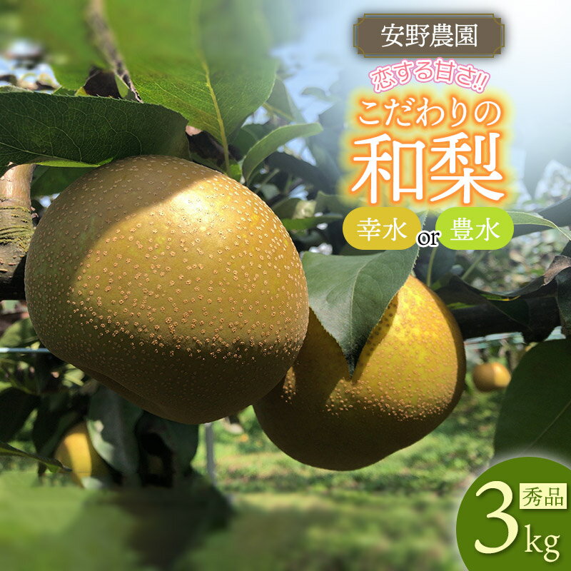 【ふるさと納税】【令和8年産先行予約】「恋する甘さ！」こだわりの和梨 幸水か豊水　秀品3kg(5〜10玉入） 品種おまかせ