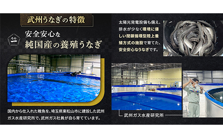 武州うなぎ 国産うなぎ蒲焼きざみ 冷凍真空パック（50g×5袋）【埼玉県 東松山市 鰻 ウナギ 誕生日 プレゼント 鰻の蒲焼き 特選品 美味しい お取り寄せ 贈り物 グルメ 旬 おすすめ 国産 選べる