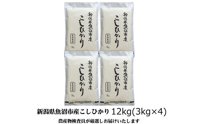 
[№5762-0773]令和6年産 農産物検査員お奨め 魚沼産こしひかり（精米）12kg（3kg×4）
