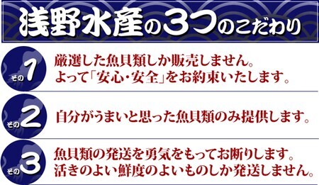 瞬間冷凍アオリイカ（手間なし）　750g