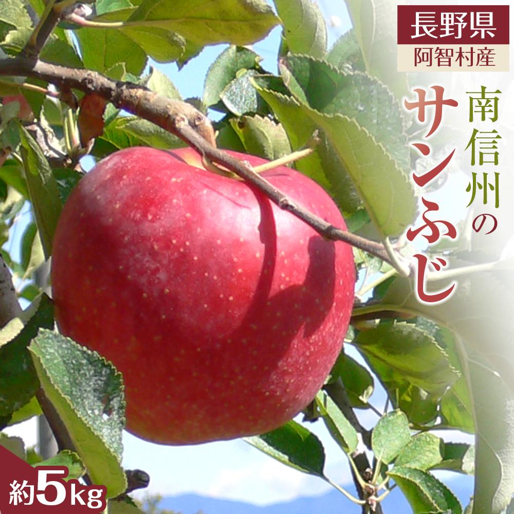 【先行予約】＜令和8年12月上旬～順次発送＞南信州 阿智村 りんご「サンふじ」約5kg｜  果物 フルーツ 林檎 リンゴ 信州 長野