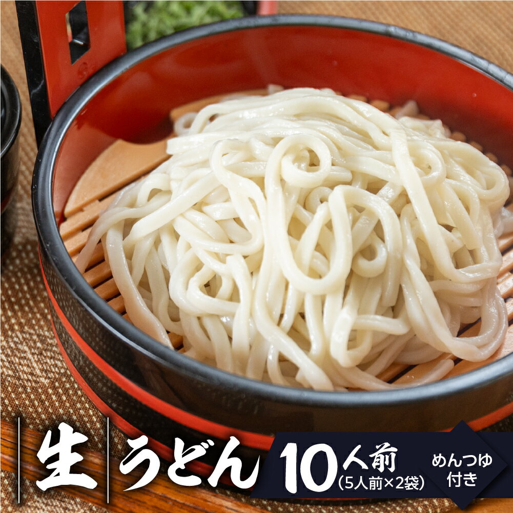 【ふるさと納税】【訳あり】簡易包装　生うどん 5人前×2袋 めんつゆ付き 10食セット【丸中製麺所】ラーメン 高山ラーメン 自家製麺 飛騨 下呂市 うどん 生うどん 5000円
