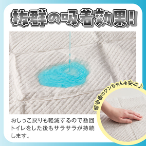 ペットシーツ ワンちゃん 炭 プレミアム Ｗ(ワイド) 50枚入×2袋 ＴＣ(テクノカーボン)炭 お留守番 数回使用可 トイレシーツ 日用品 ペット用品 防災 備蓄 消耗品 静岡県 富士市 [sf02