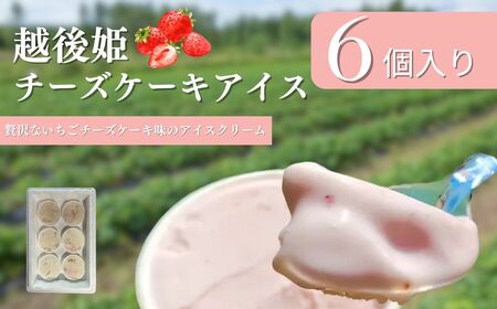 越後姫チーズケーキアイス6個 ケーキ イチゴ 苺 アイスケーキ チーズケーキ デザート おやつ 冷凍 上越市 新潟