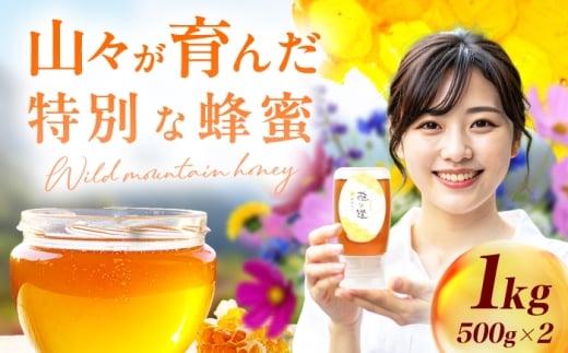 野山みつ 2本（500g×2）　広川町 / 株式会社九州蜂の子本舗 [AFAI047]