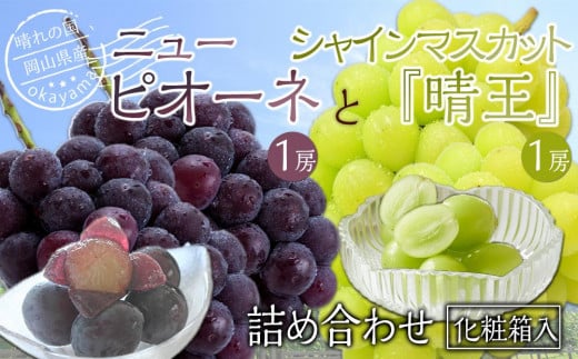 ぶどう 2026年 岡山県産 詰合/ニューピオーネ1房(480g以上)・シャインマスカット『晴王』1房(480g以上) 化粧箱入り