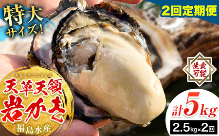 岩牡蠣 定期便 2回 2.5kg カキ 岩かき 福島水産