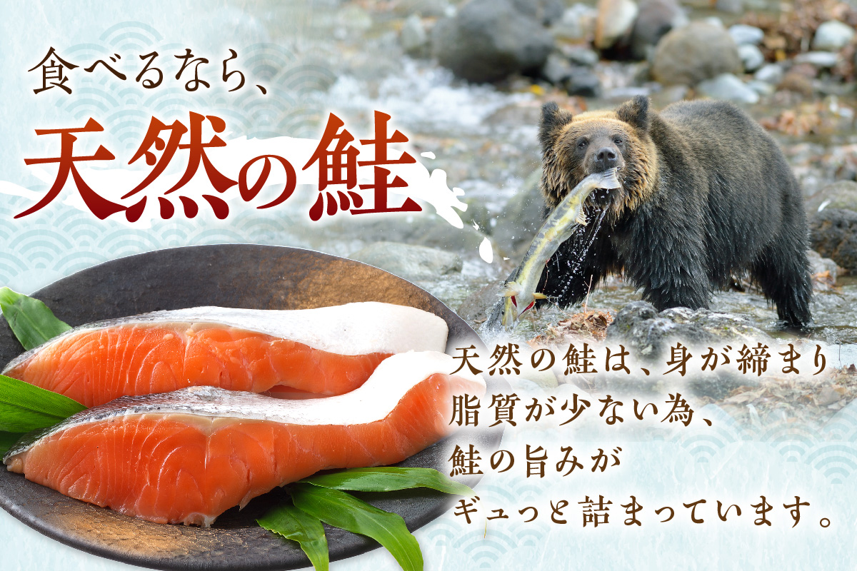 北海道産新巻鮭 オス 切り身姿づくり 約3kg〜3.3kg ( サケ 魚介 魚 焼き魚 鮭 さけ 真空パック 甘塩 味付 数量限定 )【017-0014】