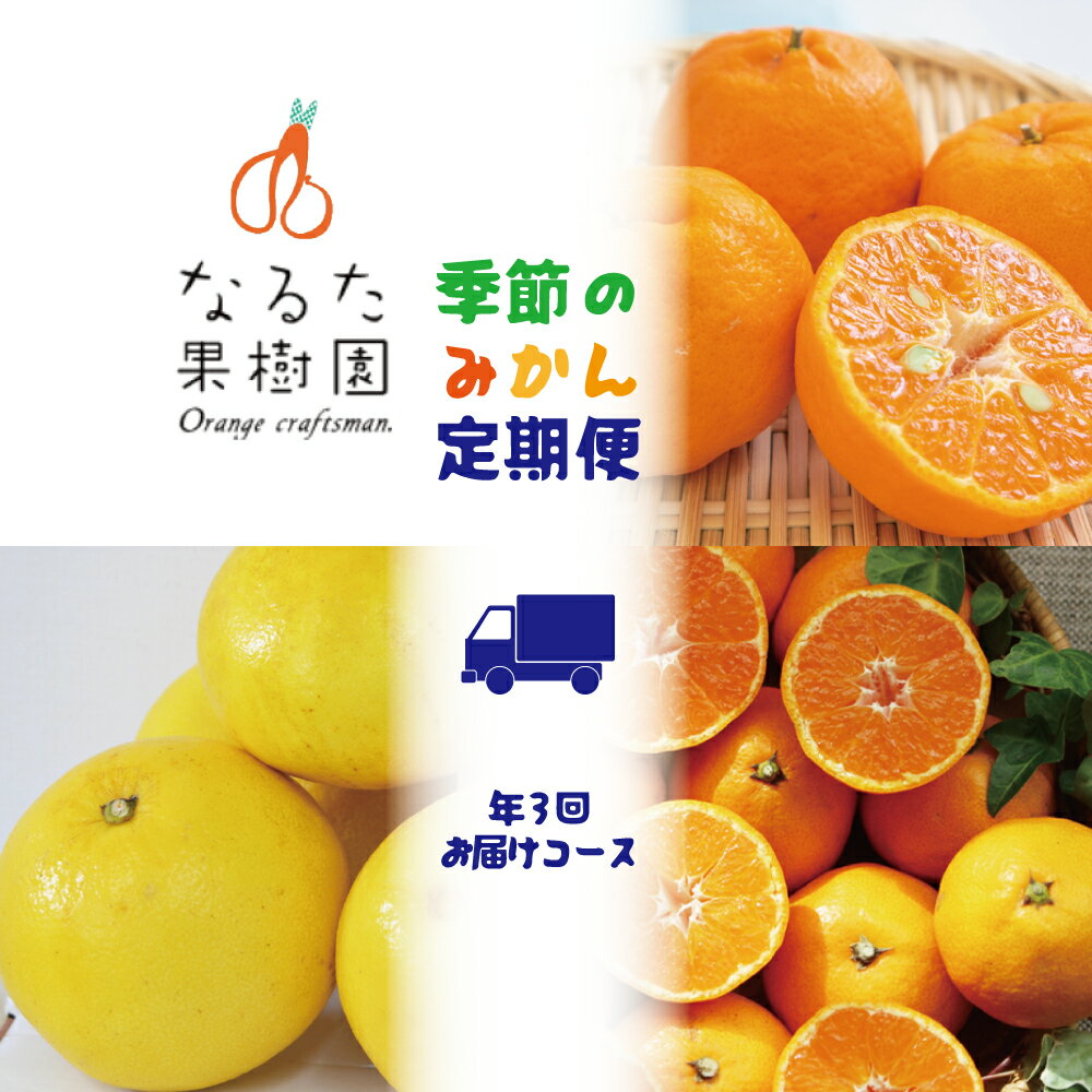 【ふるさと納税】 なるた果樹園 季節のみかん 定期便 年3回お届け コース 柑橘 果物 フルーツ 贈り物 ギフト 産地直送 旬 新鮮 甘い みかん ミカン 蜜柑 オレンジ 柑橘類 果汁 ビタミンC 健康 家族 おやつ デザート 詰め合わせ 宿毛市 高知市