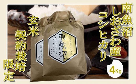 【令和7年産】【玄米４Kg】●玄米● 生産者限定 南魚沼しおざわ産コシヒカリ【2025年10月上旬より順次発送予定】