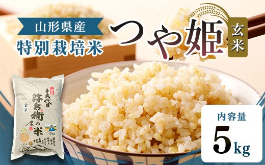 
                  【令和7年産】特別栽培米 つや姫 玄米 5kg 山形県産 F2Y-4785
                
