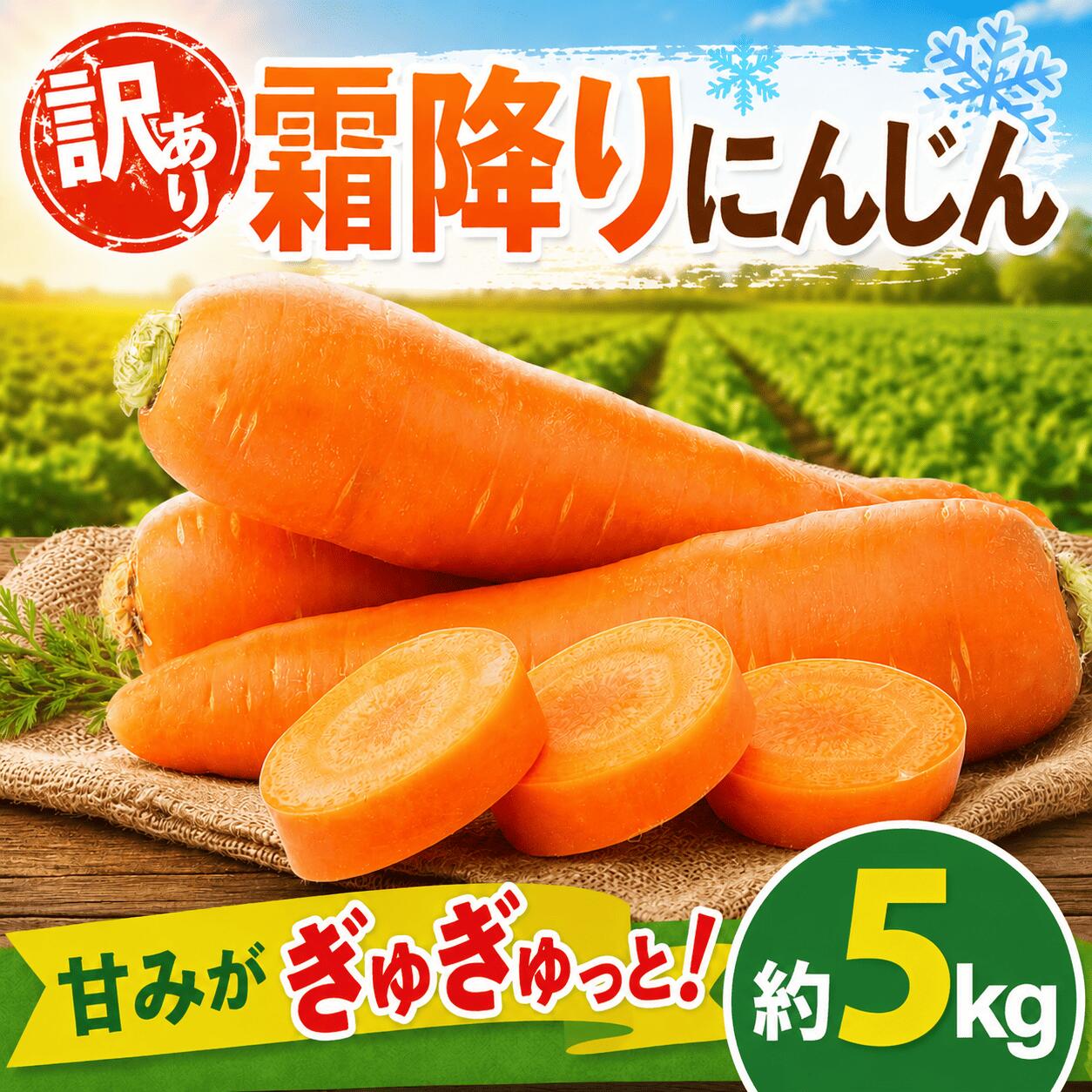 【ふるさと納税】 にんじん 5kg 訳あり 先行予約 【2026年12月以降発送】 人参 5キロ 訳有 訳有り わけあり 訳アリ 霜降り人参 霜降りにんじん 高い 糖度 甘い キャロット 野菜 根菜 産地直送 千葉県 香取市 SIN004