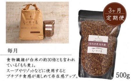 2103R_食物繊維を定期的に！お米5kgとむらさきもち麦3ヶ月定期便/計3回発送