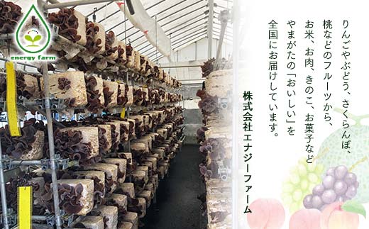 《先行予約》令和7年産 山形県産米 10kg（5kg×2） 食べ比べ定期便（全3回） 精米 米 お米 おこめ 山形県 新庄市 F3S-2511