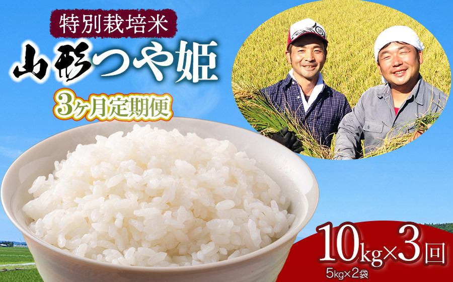 
            【令和7年産先行予約】【定期便】 特別栽培米 山形つや姫 精米 10kg(5kg×2袋)×3ヶ月　山形県鶴岡市産　鶴岡ファーマーズ
          