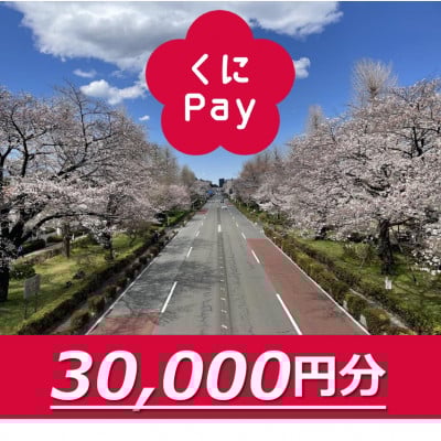 
            [№5903-0312]国立市デジタル地域通貨『くにPay』30,000ポイント
          