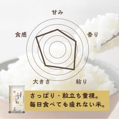 ふるさと納税 大網白里市 【令和8年産】千葉県 米 ふさこがね 精米 15kg ( 5kg ×3袋) |  | 01