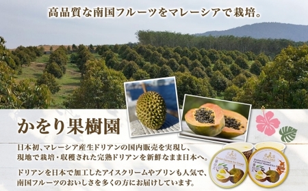 【無地熨斗】 ドリアン ココナッツ アイスクリーム 100ml 6個 ココナッツミルク