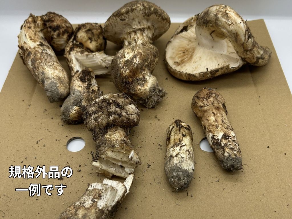 規格外品の例です。このような規格外品をお届けする返礼品です。ご了承ください。
