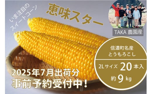 信濃町名産とうもろこし『TAKA農園の恵味（めぐみ）スター』2Lサイズ（1本450ｇ相当）×20本セット【2025年夏のご予約受付開始！】スイートコーンの人気品種を早期予約限定で受付中！ 2025年7月15～25日の限定出荷【長野県信濃町ふるさと納税】