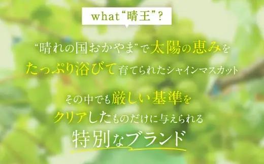 シャインマスカット 晴王 秀品 大房 2 ～ 5房 約2kg ぶどう ブドウ 葡萄 マスカット 果物 くだもの フルーツ 果実 種なし 皮ごと 国産 岡山県産 冷蔵 【 2026年9月上旬から11月下