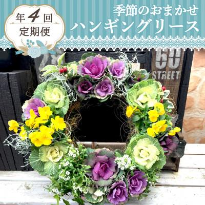 ふるさと納税 藤枝市 【発送月固定定期便】【3ヶ月毎】季節のおまかせハンギングリース寄せ植え全4回