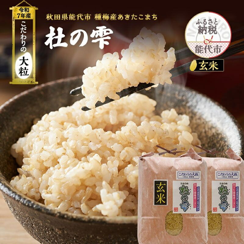 【ふるさと納税】令和7年産 新米 米 お米 《定期便6ヶ月》【玄米】秋田県産 あきたこまち あきた種梅産こまち 杜の雫 こだわりの大粒 20kg（10kg×2袋）×6回 合計120kg　お届け：2025年10月中旬より順次発送予定です。