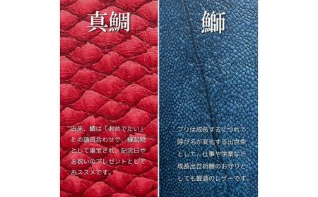 【Ocean Blue】Ocean Leather 名刺入れ【マダイ】M【興洋フリーズ株式会社】 [ATBX083-02]