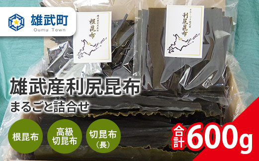 
北海道雄武産 天然利尻昆布 まるごと詰合せ 600ｇ【01108】
