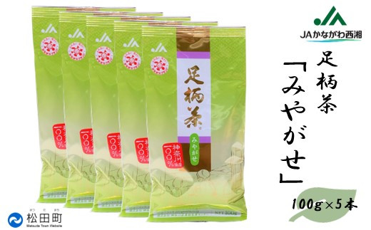 
【足柄茶】みやがせ500ｇ（100ｇ×5本）
